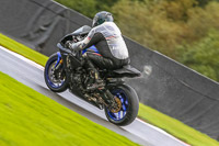 PJ-Motorsport-Photography-2020;anglesey;brands-hatch;cadwell-park;croft;donington-park;enduro-digital-images;event-digital-images;eventdigitalimages;mallory;no-limits;oulton-park;peter-wileman-photography;racing-digital-images;silverstone;snetterton;trackday-digital-images;trackday-photos;vmcc-banbury-run;welsh-2-day-enduro